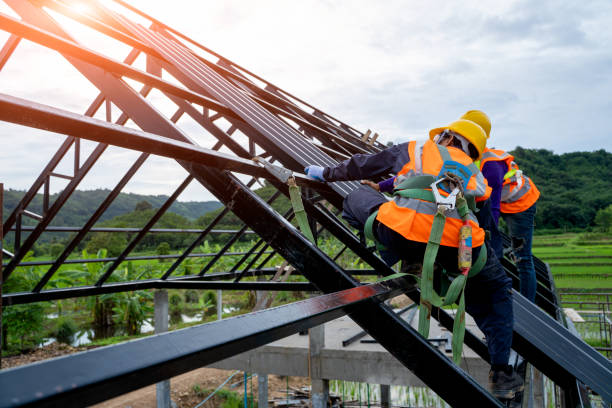Best Roof Gutter Cleaning  in St Helen, MI