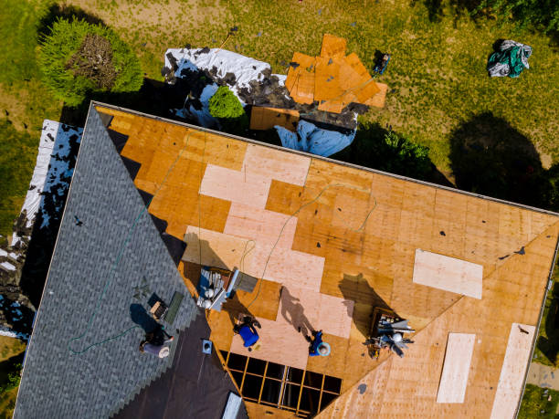 Best Roof Repair Services  in St Helen, MI