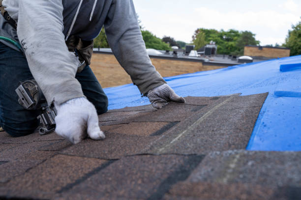 Best Roof Waterproofing Services  in St Helen, MI