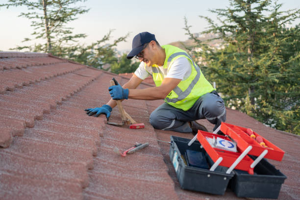 Best Metal Roofing Contractor  in St Helen, MI