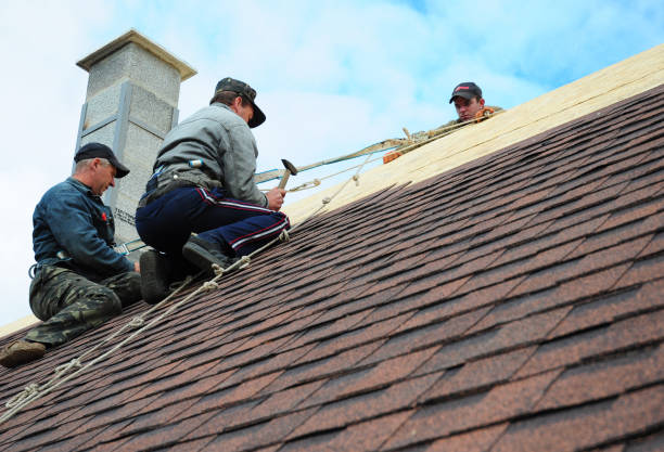 Best Roof Inspection Near Me  in St Helen, MI